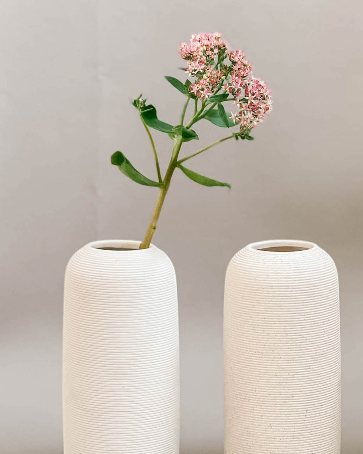 Twin Vase - Ivory